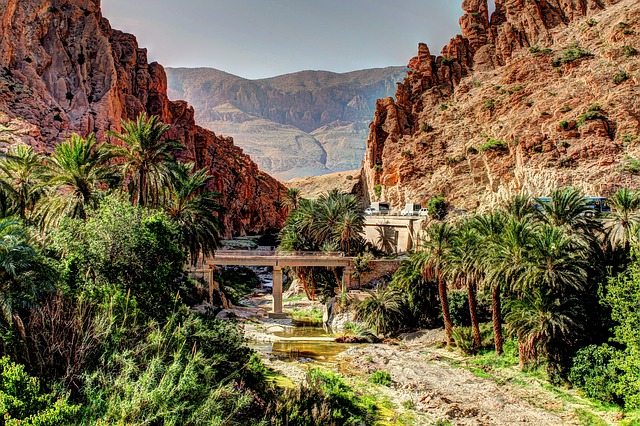 Arabisch in Algerien Dr Daniel Falk