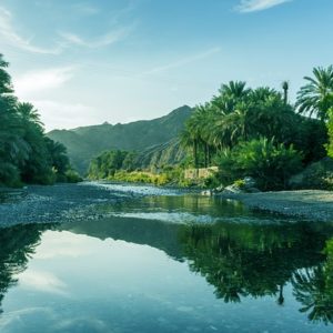 Grüne Landschaft im Oman