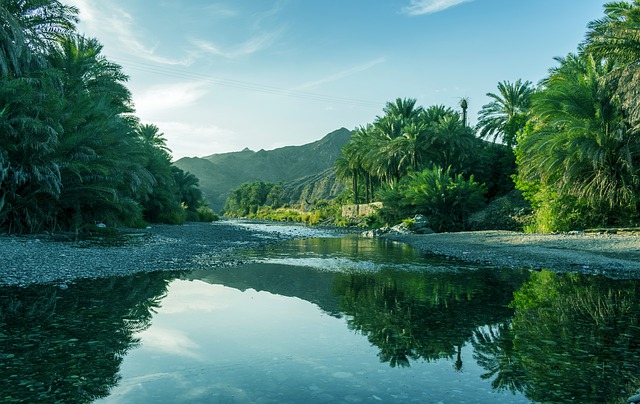 Grüne Landschaft im Oman